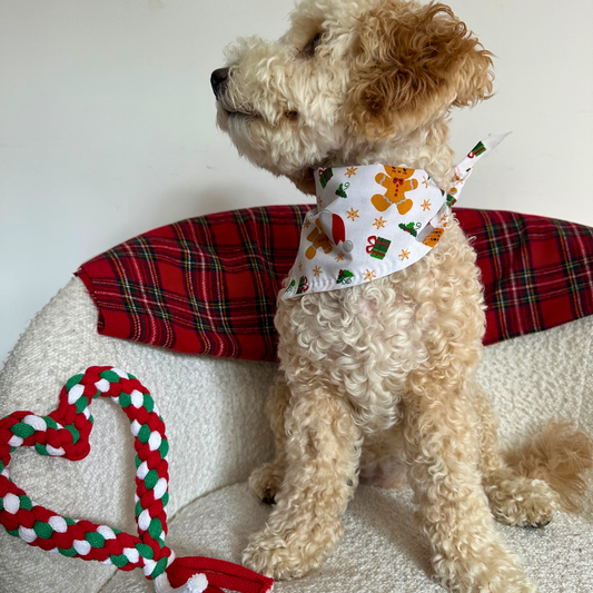 Christmas Heart Tug Dog Toy image 4