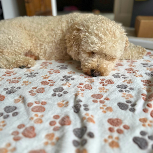 Paw Print Pet Blanket image 4