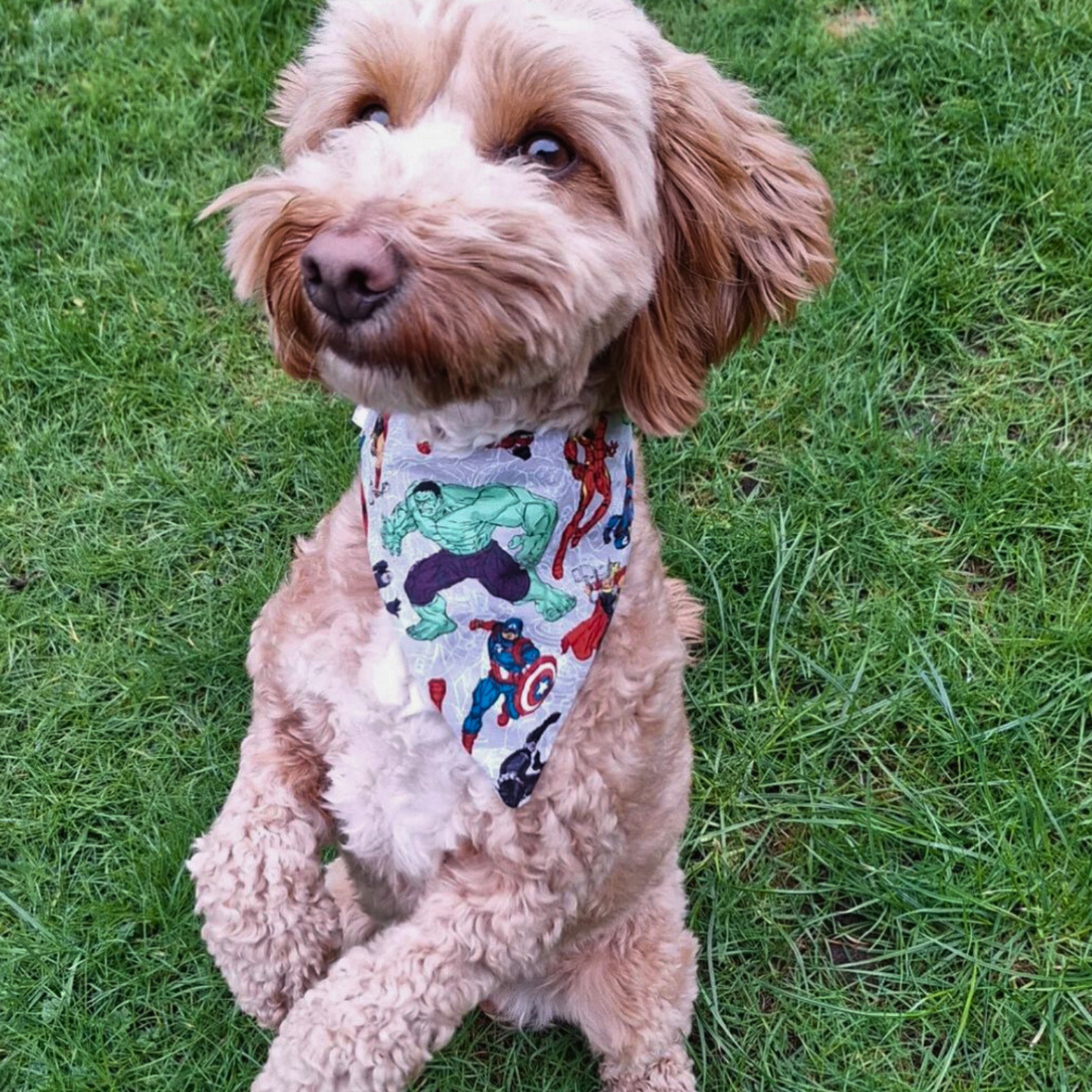 Marvel Avengers Dog Collar Bandana image 2