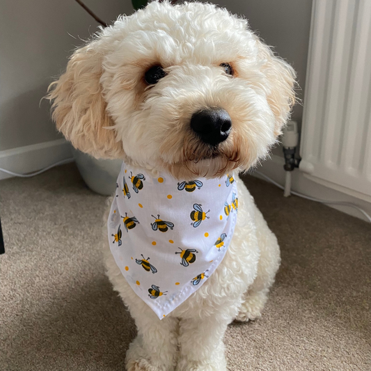 Bee Print Dog Collar Bandana image 1