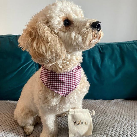 Red Gingham Dog Collar Bandana image 0