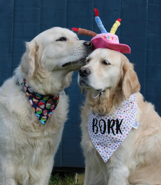 Birthday Cake Dog Bandana