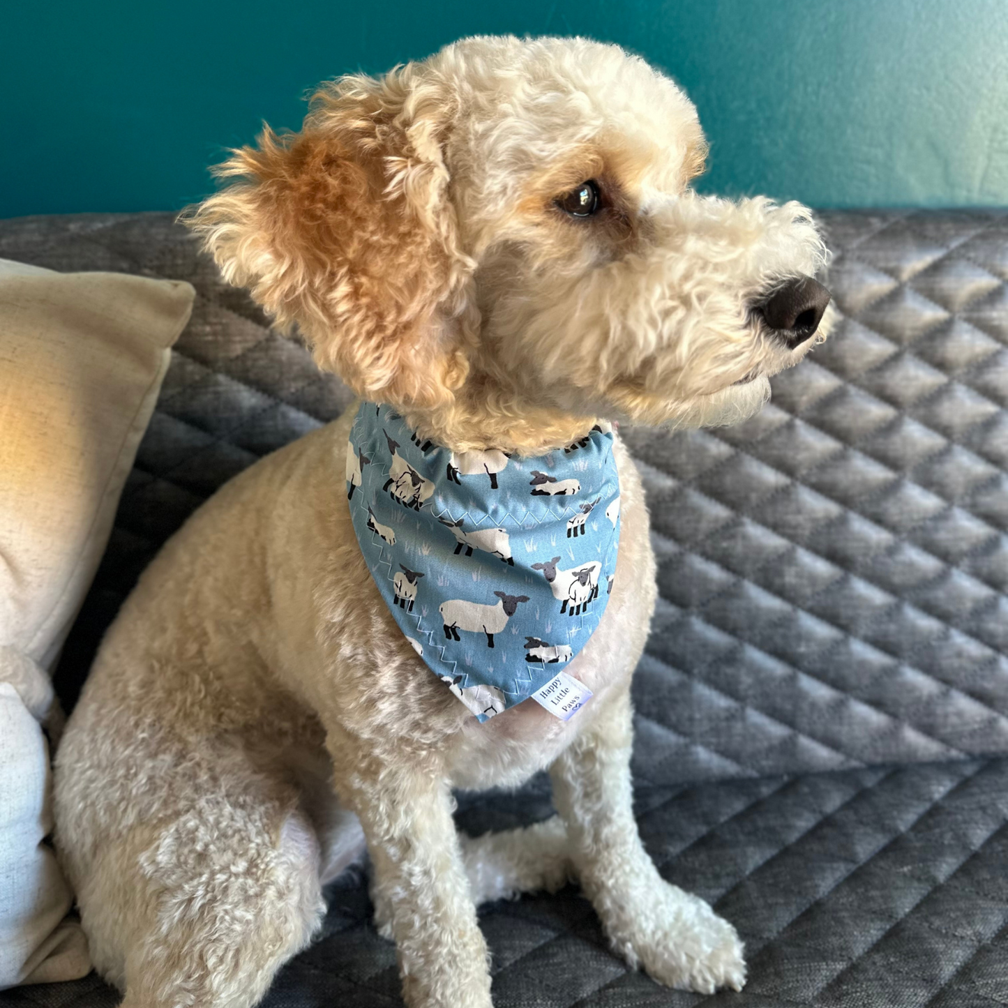 Sheep Print Dog Bandana