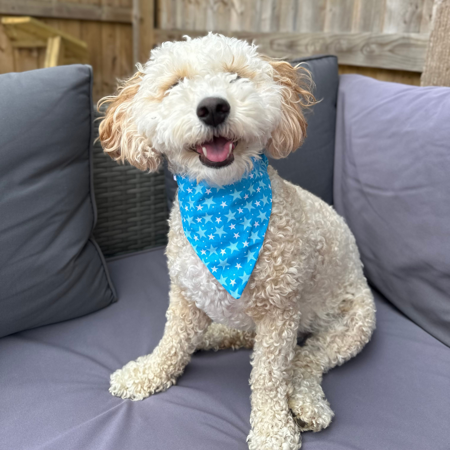 Blue Stars Dog Bandana