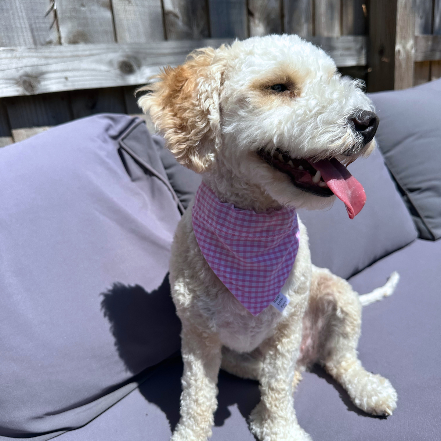 Pink Gingham Dog Bandana