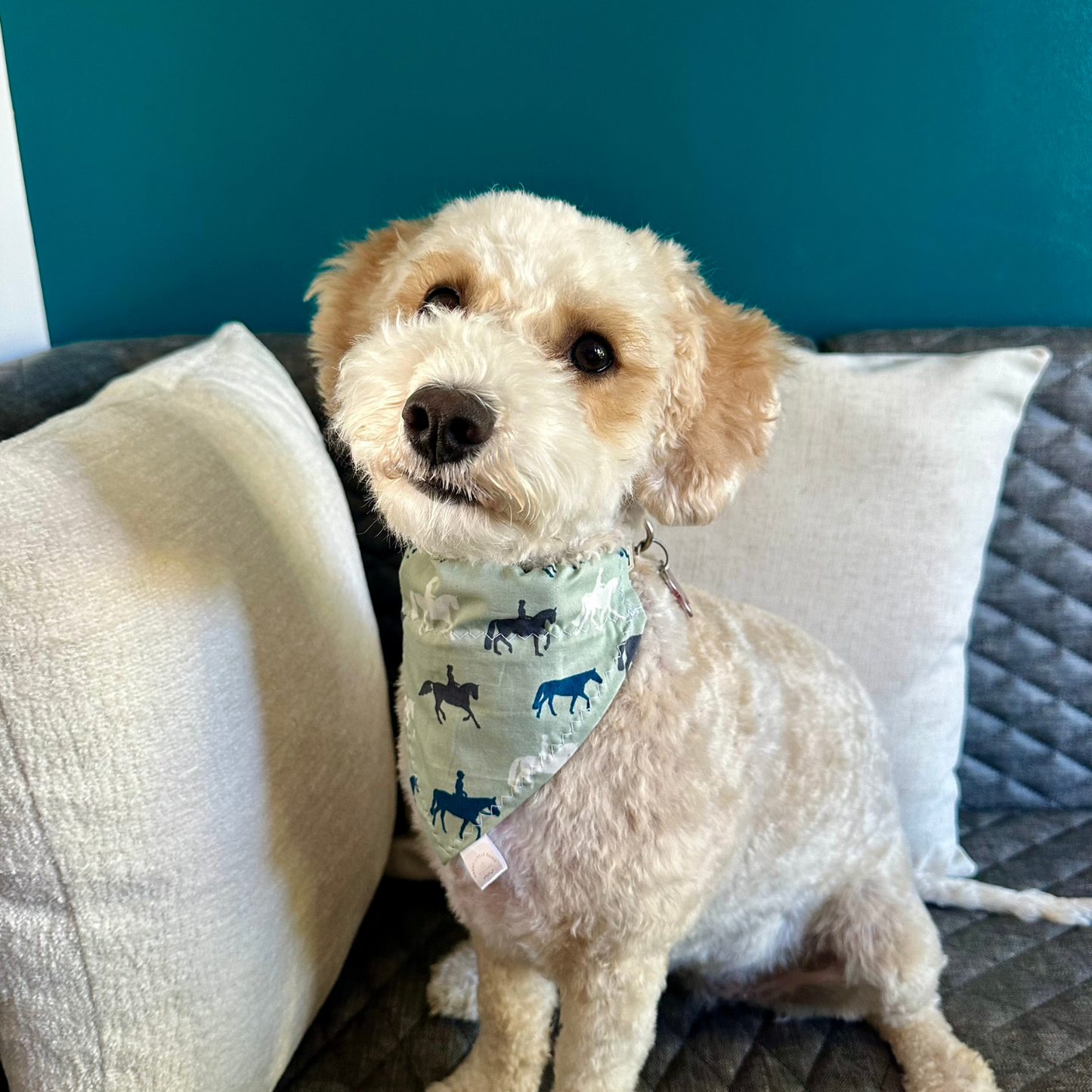 Horse Print Dog Bandana