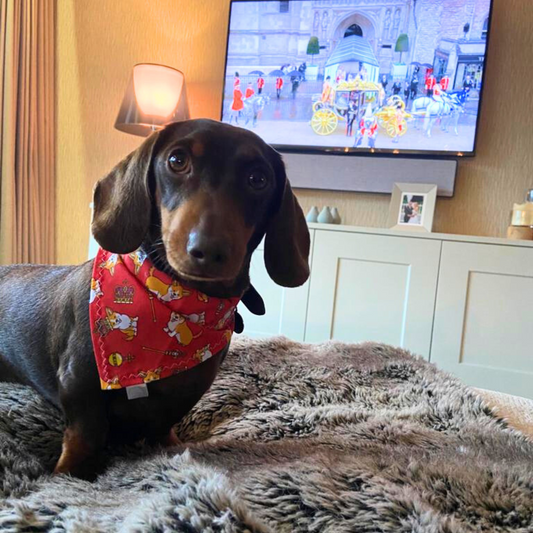 Royal Corgi Dog Bandana