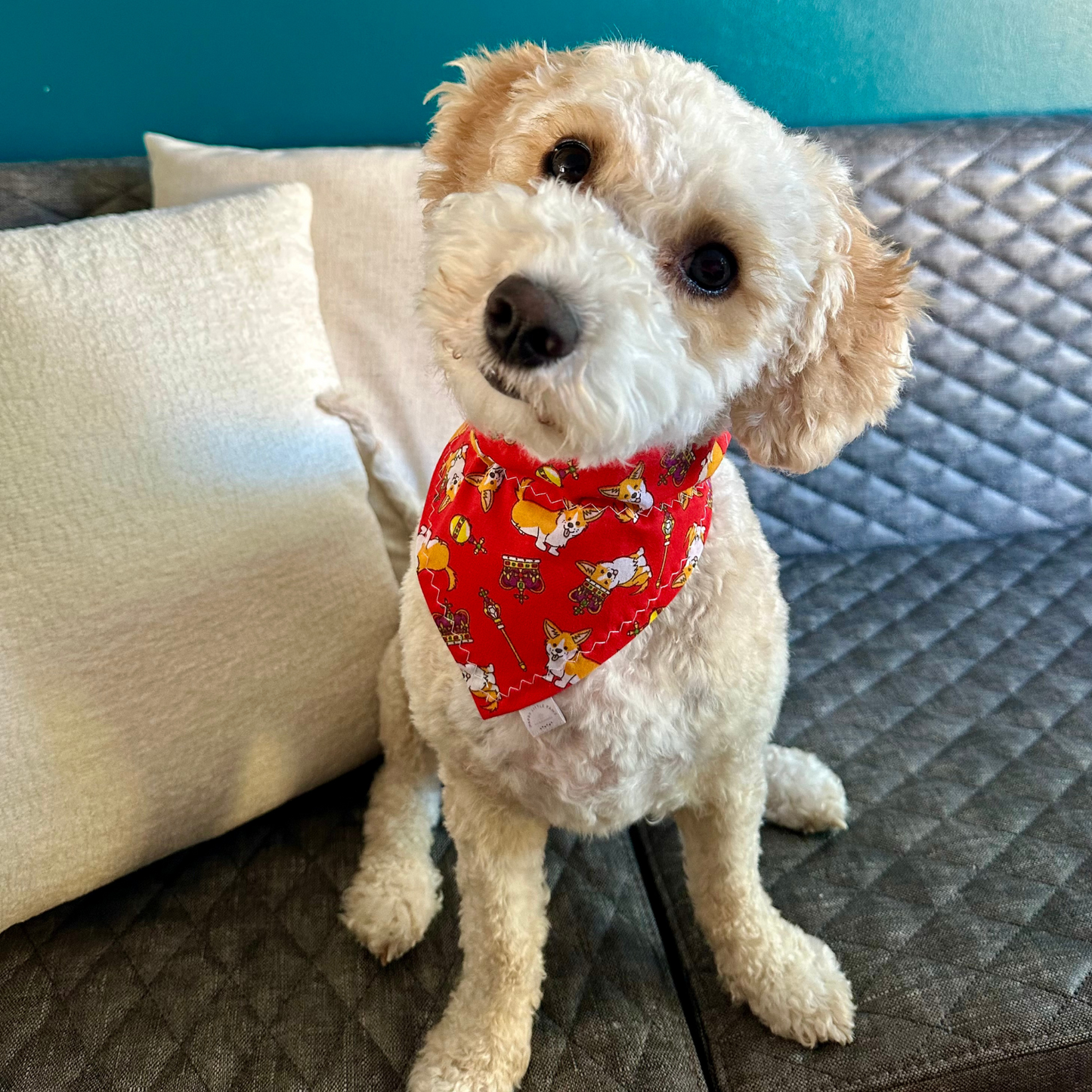 Royal Corgi Dog Bandana