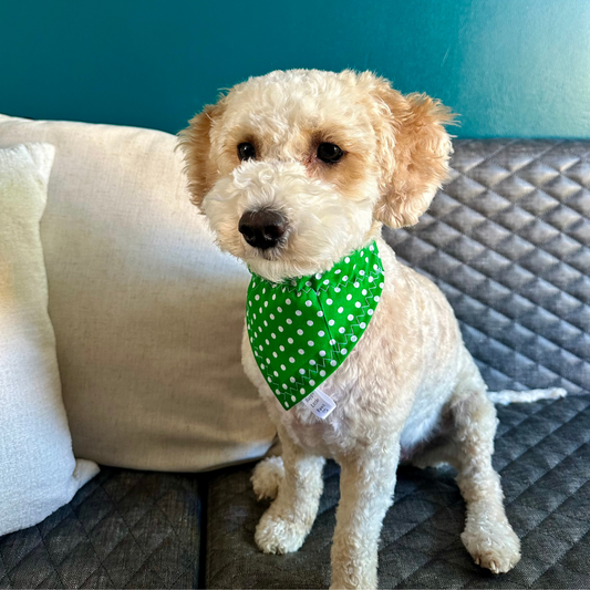 Green Polka Dot Dog Bandana