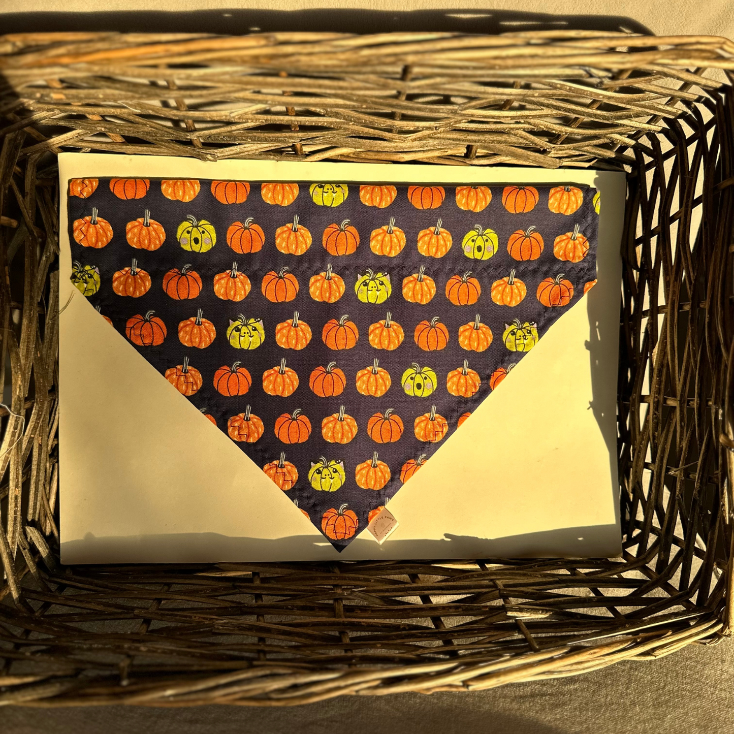 Halloween Pumpkin Print Bandana