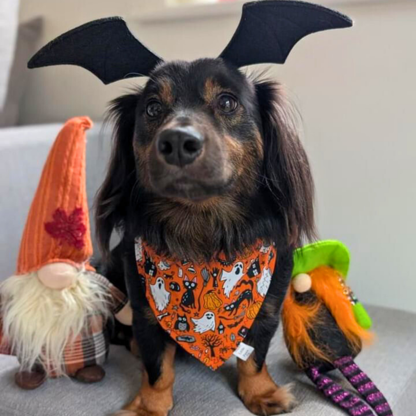 Halloween Ghosts and Cats Bandana