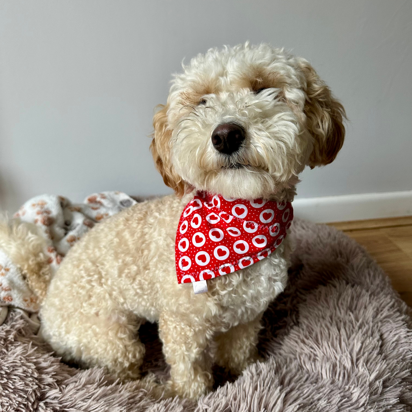 Hearts and Polka Dot Dog Bandana