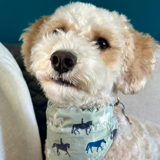 Horse Print Dog Bandana