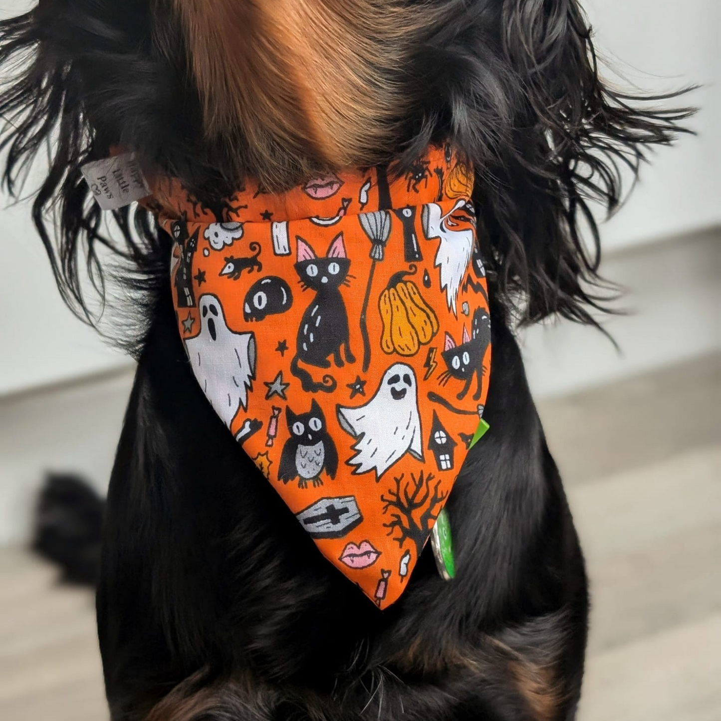 Halloween Ghosts and Cats Bandana