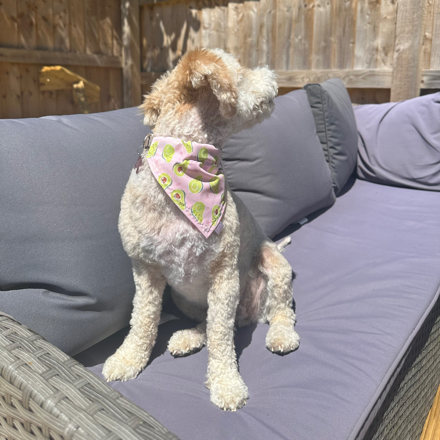 Pink Avocado Dog Bandana
