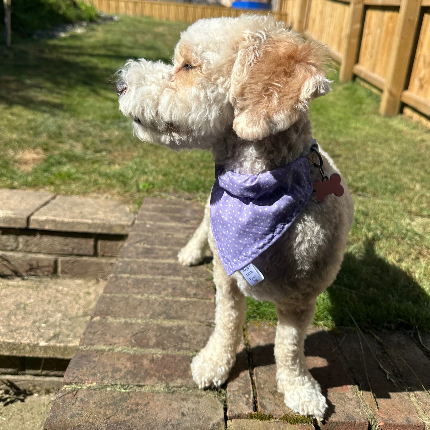 Lilac Stars Dog Bandana