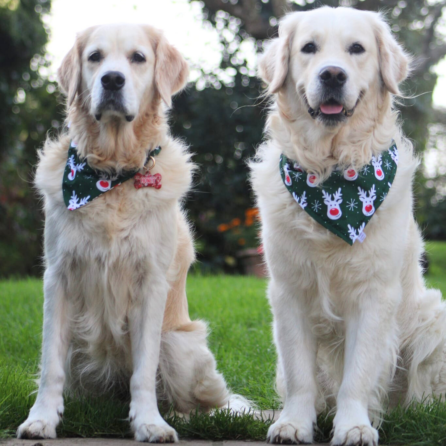 Christmas Rudolph and Snowflake Dog Bandana