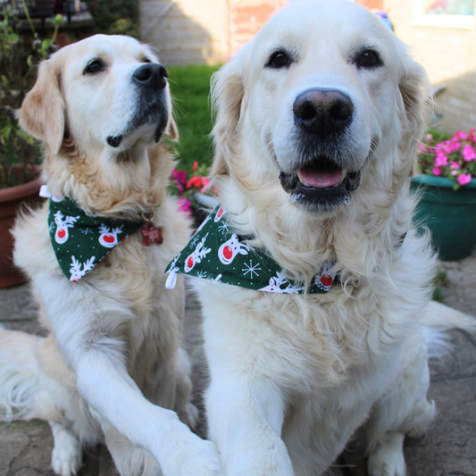 Christmas Rudolph and Snowflake Dog Bandana