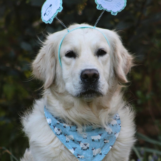 Sheep Print Dog Bandana