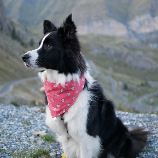 Union Jack Dog Collar Bandana image 1