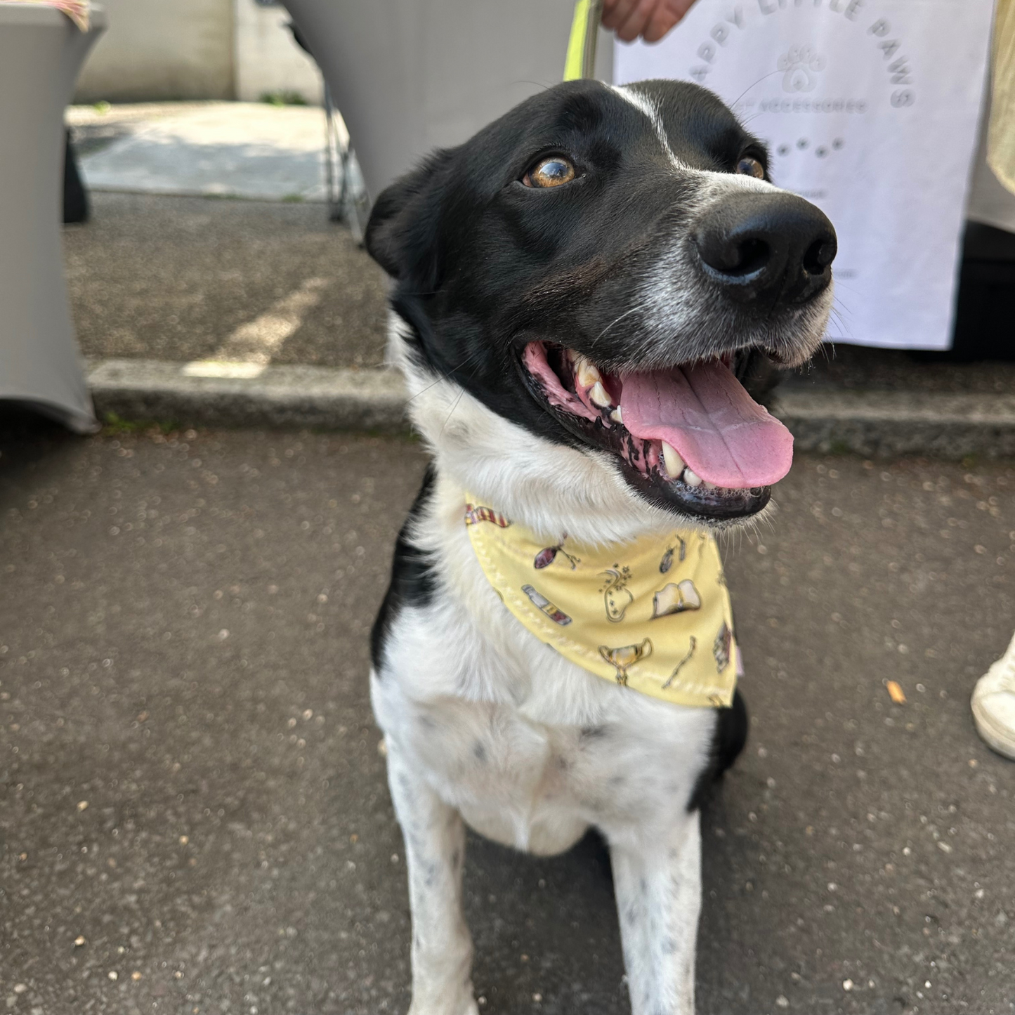 Yellow Harry Potter Dog Bandana