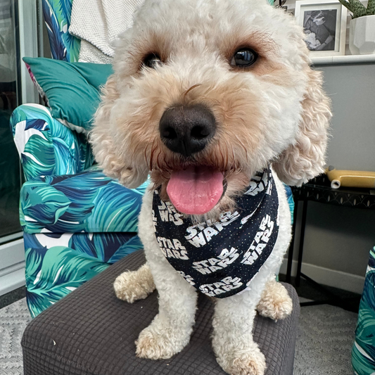 Star Wars Dog Bandana image 3