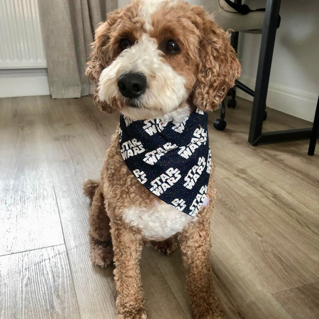 Star Wars Dog Bandana image 1