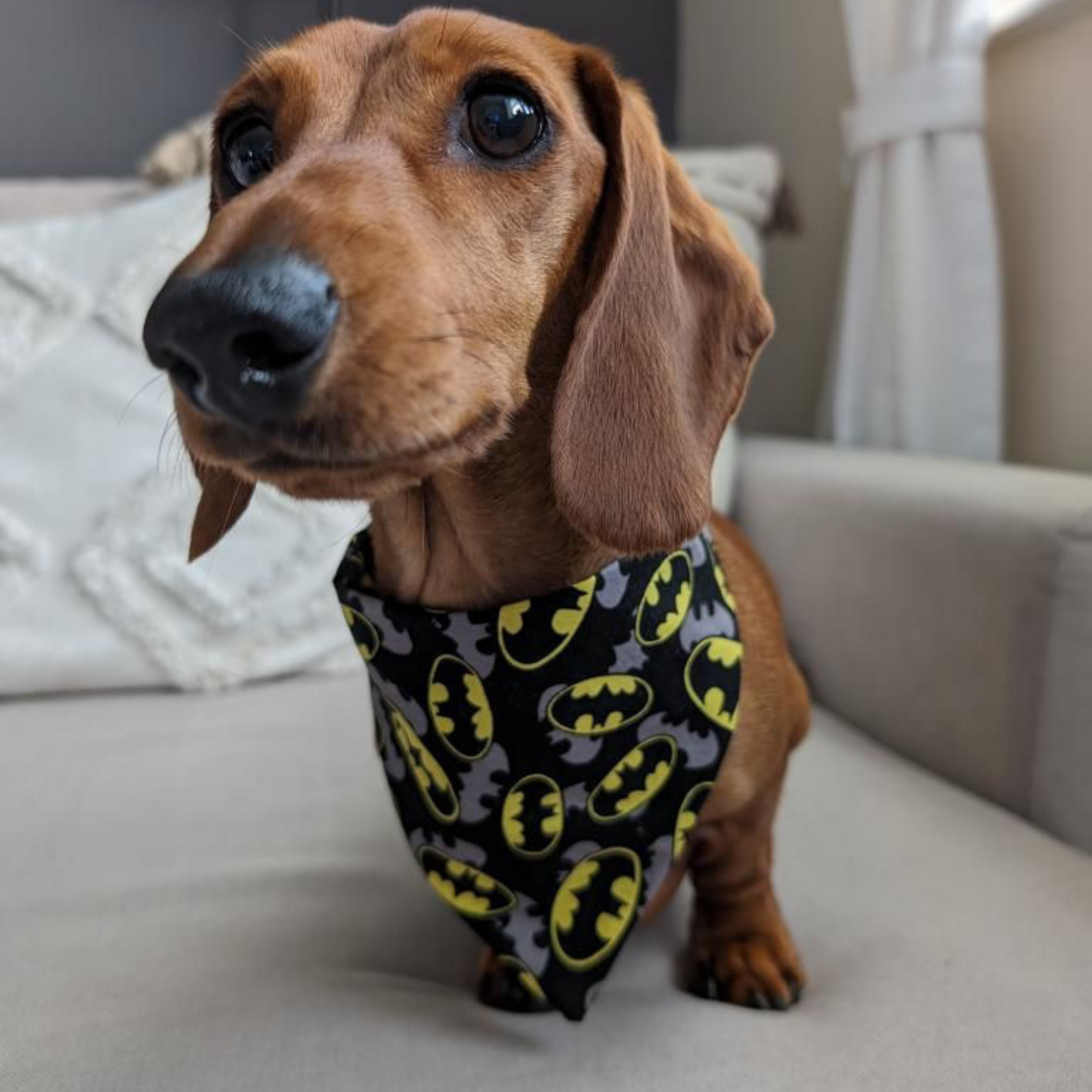 Batman Dog Collar Bandana image 5