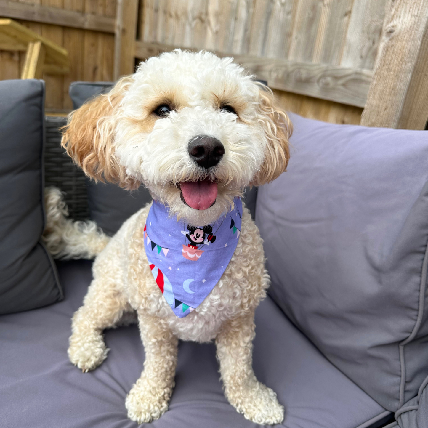 Mickey Mouse Dog Bandana