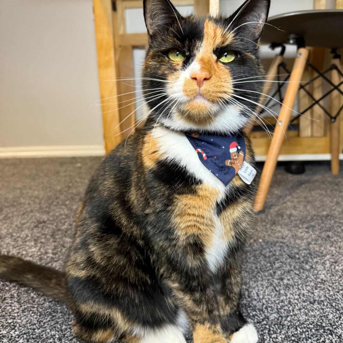 Christmas Navy Gingerbread Cat Bandana