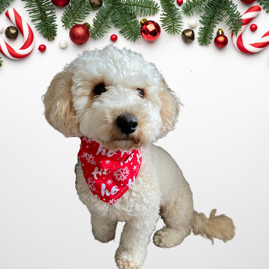 Christmas Ho Ho Ho Dog Bandana