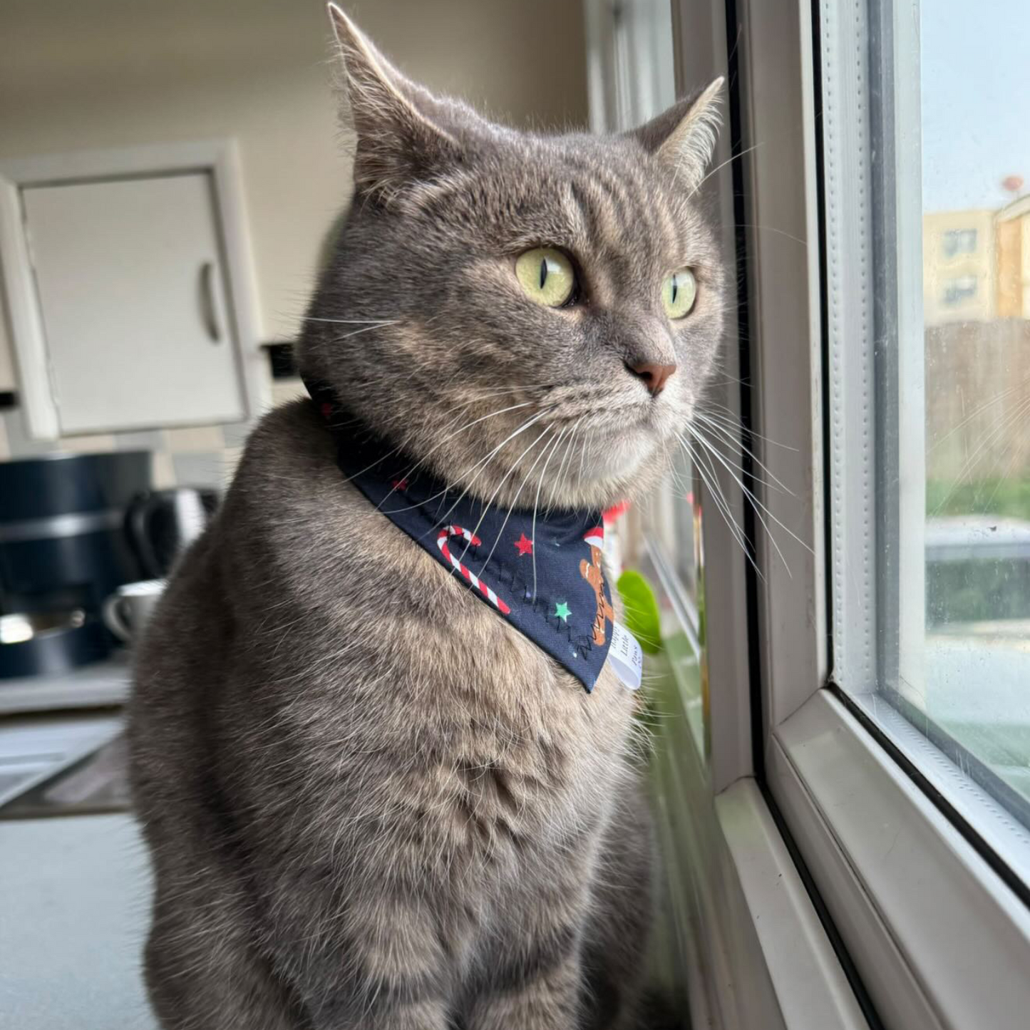 Christmas Navy Gingerbread Cat Bandana