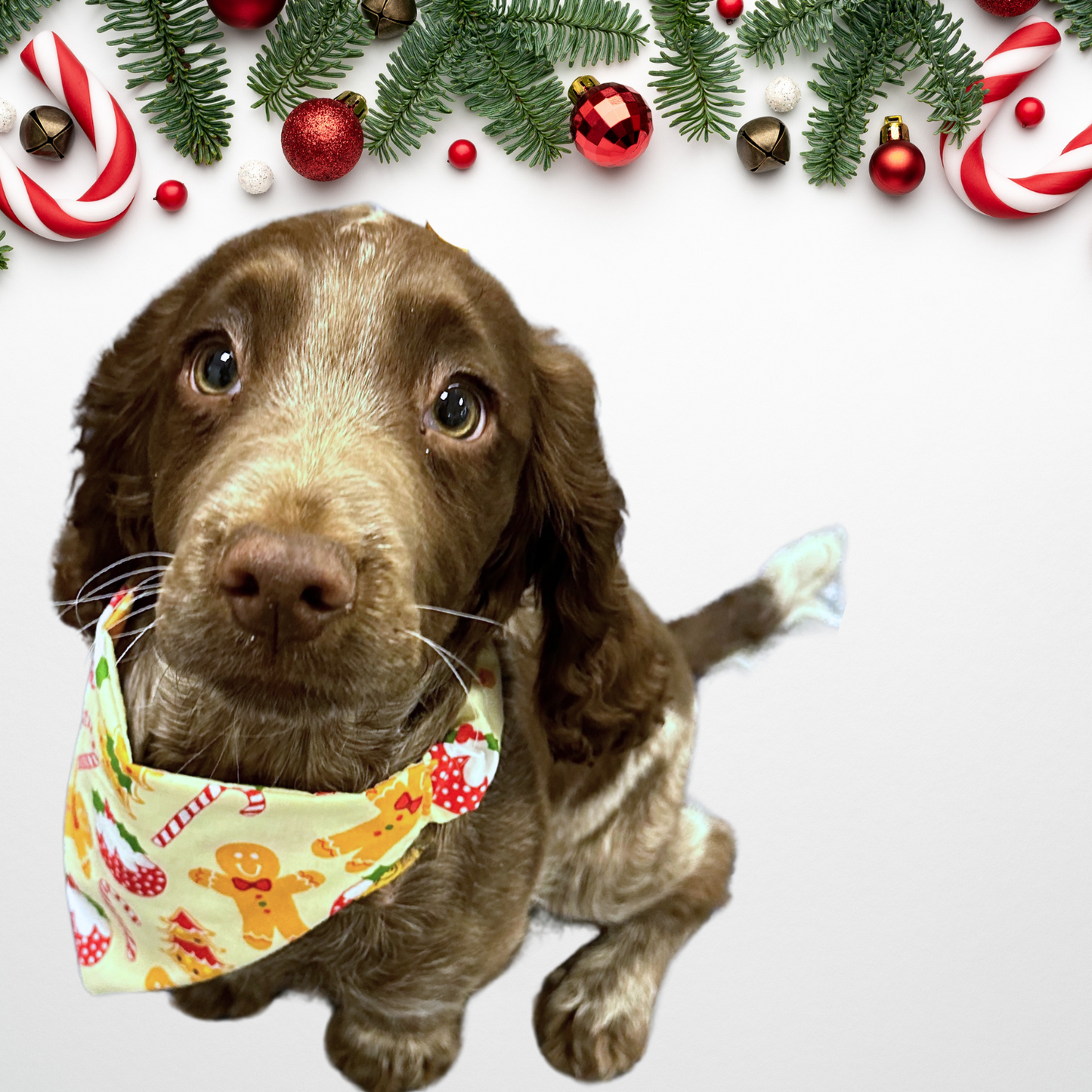 Christmas Cream Gingerbread Print Dog Bandana
