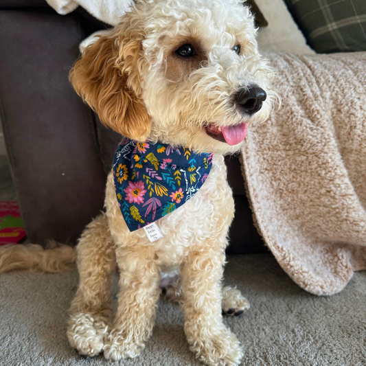 Halloween Skeletons and Flowers Bandana