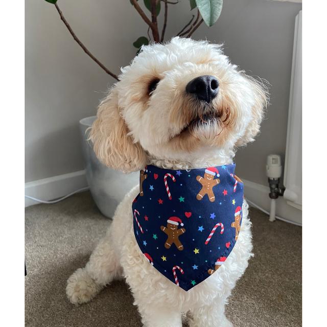 Christmas Navy Gingerbread Dog Bandana