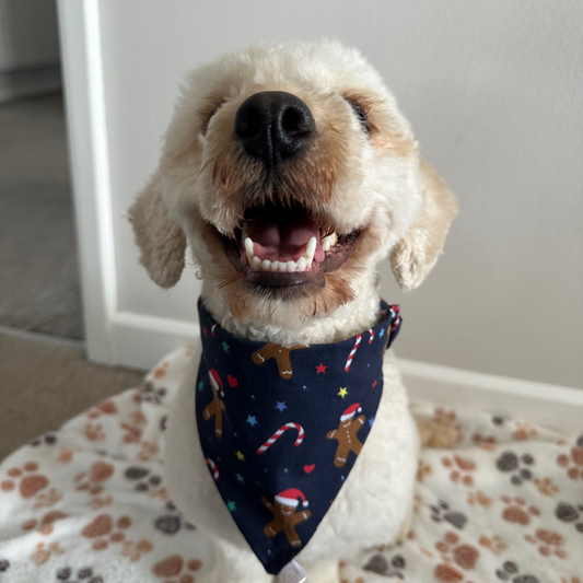 Christmas Navy Gingerbread Dog Bandana