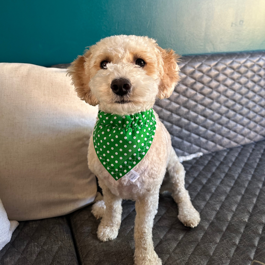 Green Polka Dot Dog Bandana