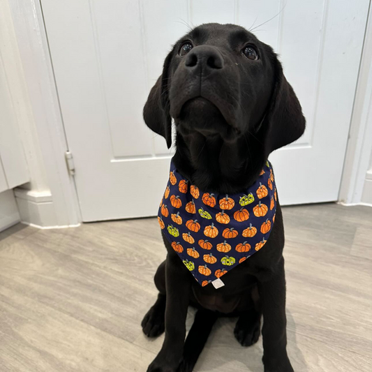 Halloween Pumpkin Print Bandana