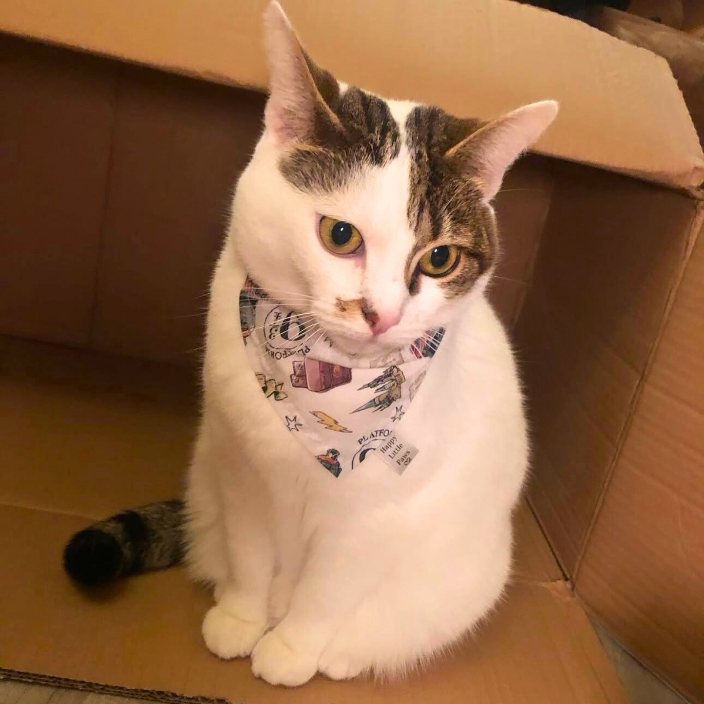 Harry Potter Cat Bandana