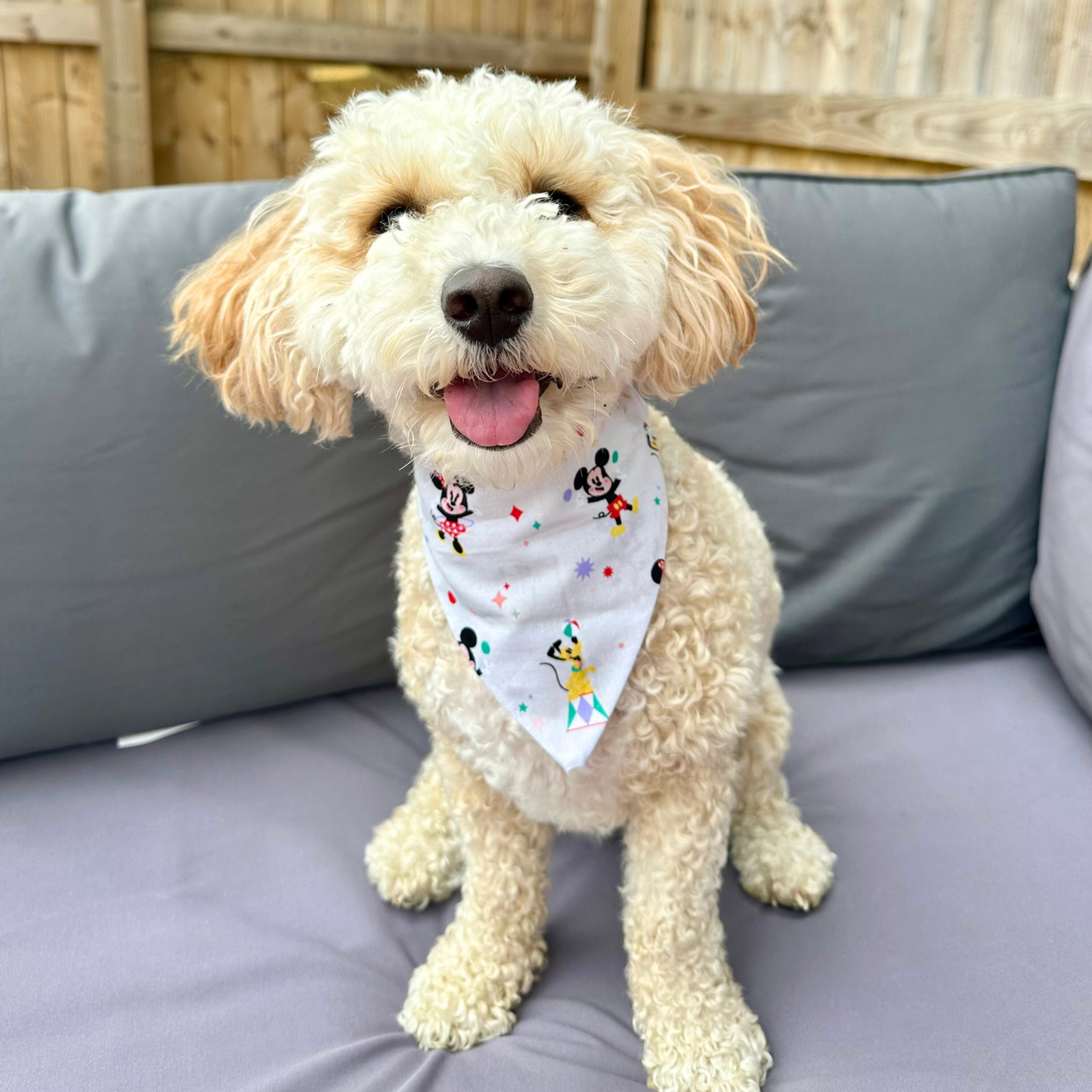 Mickey Mouse Dog Bandana