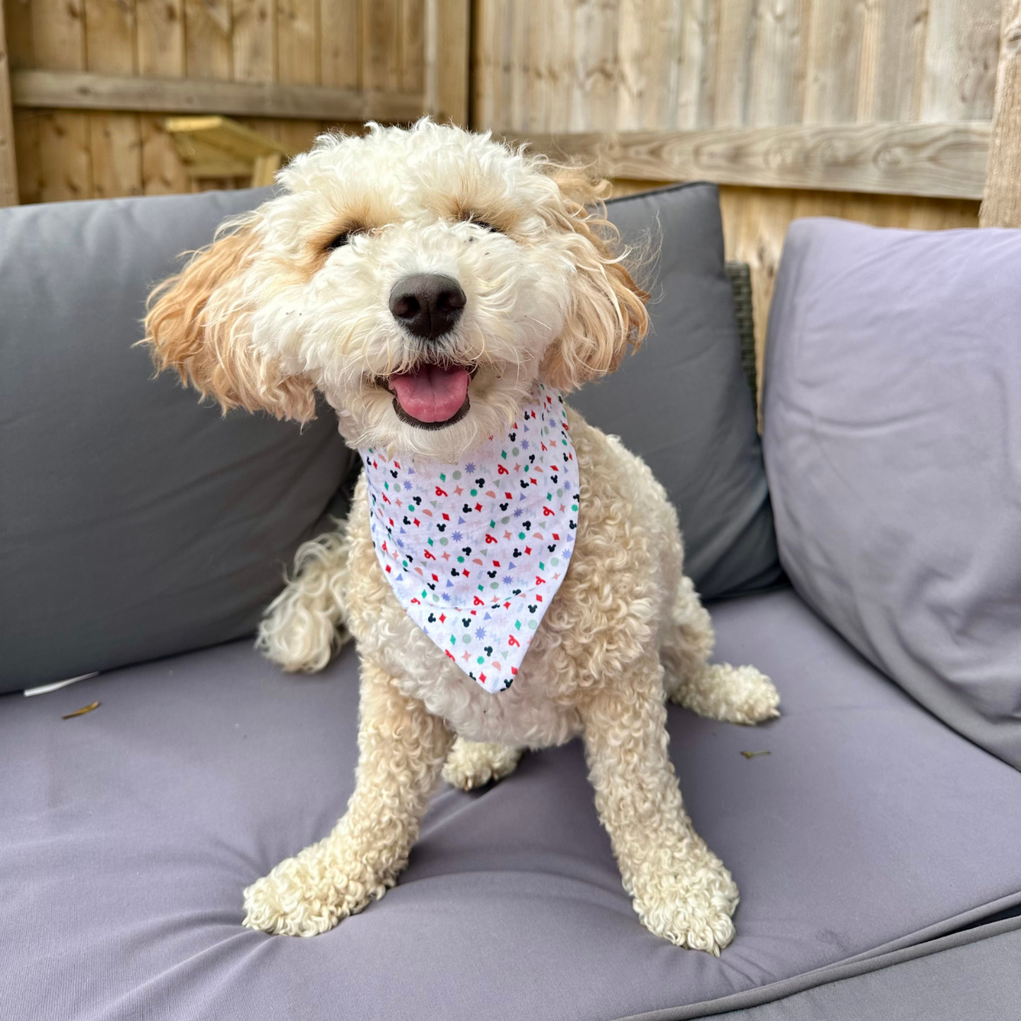 Mickey Mouse Dog Bandana