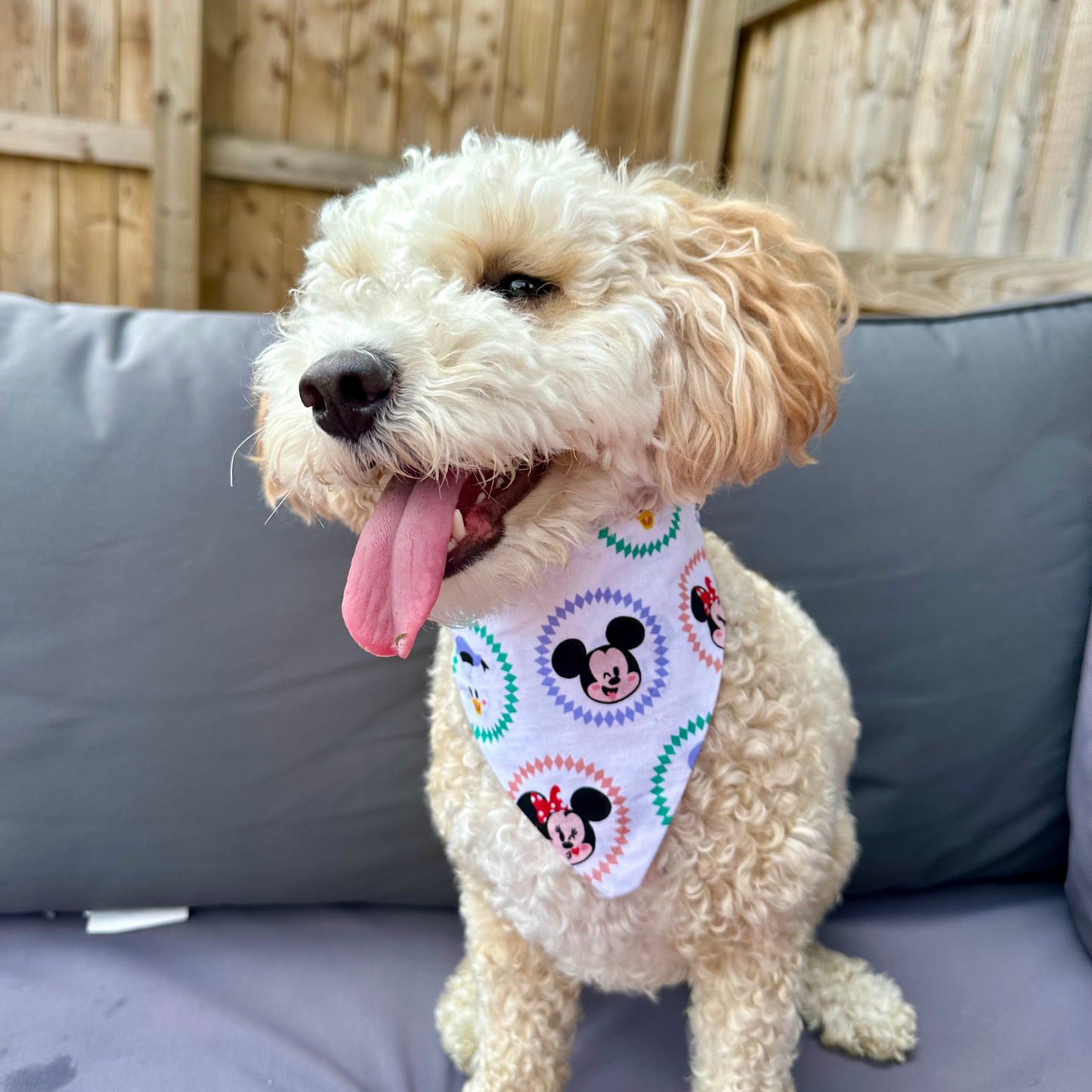 Mickey Mouse Dog Bandana