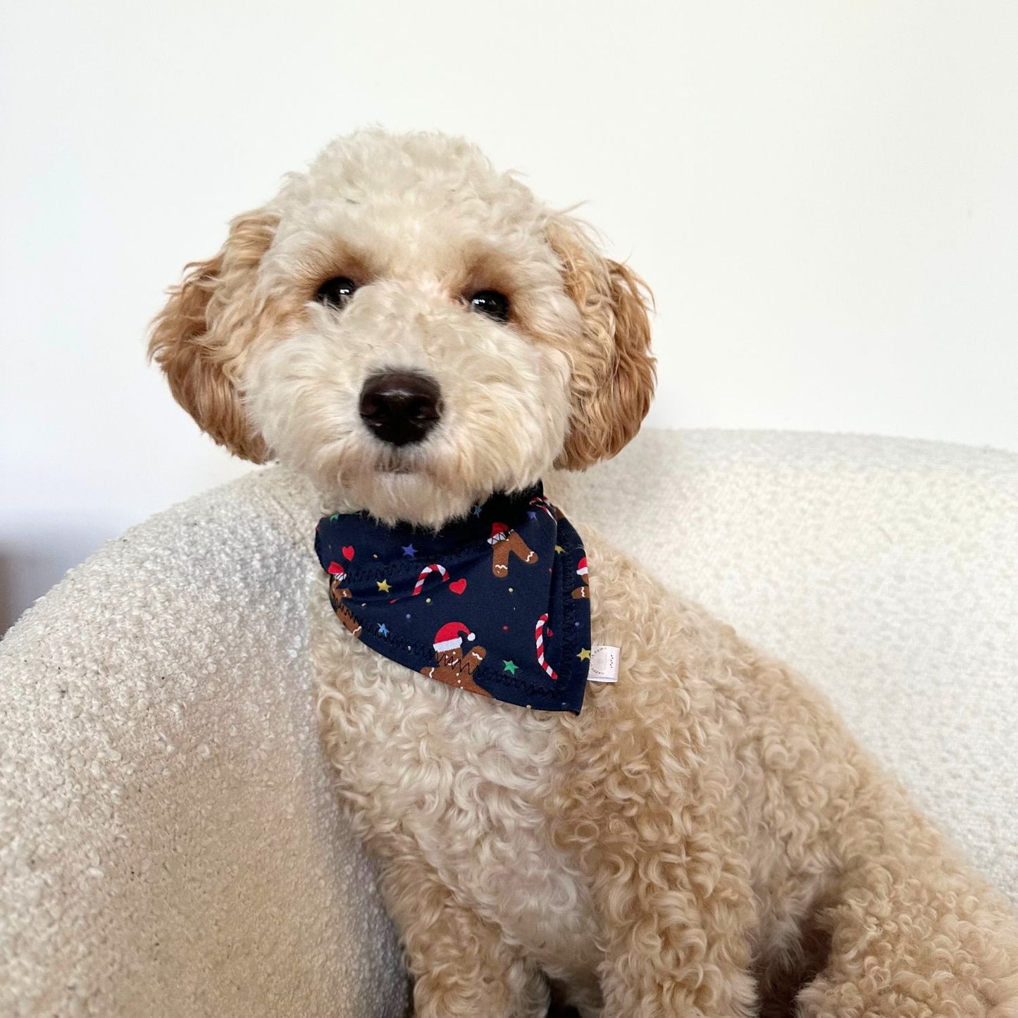 Christmas Navy Gingerbread Dog Bandana