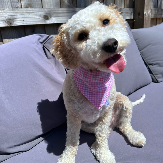 Pink Gingham Dog Bandana