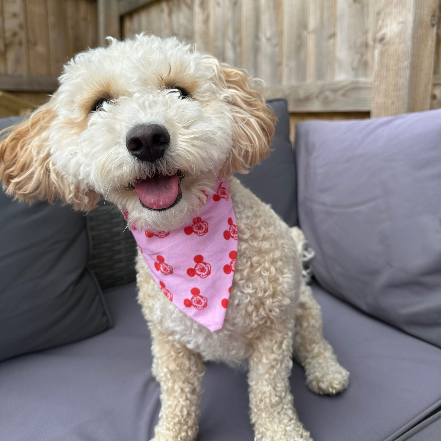 Mickey Mouse Dog Bandana
