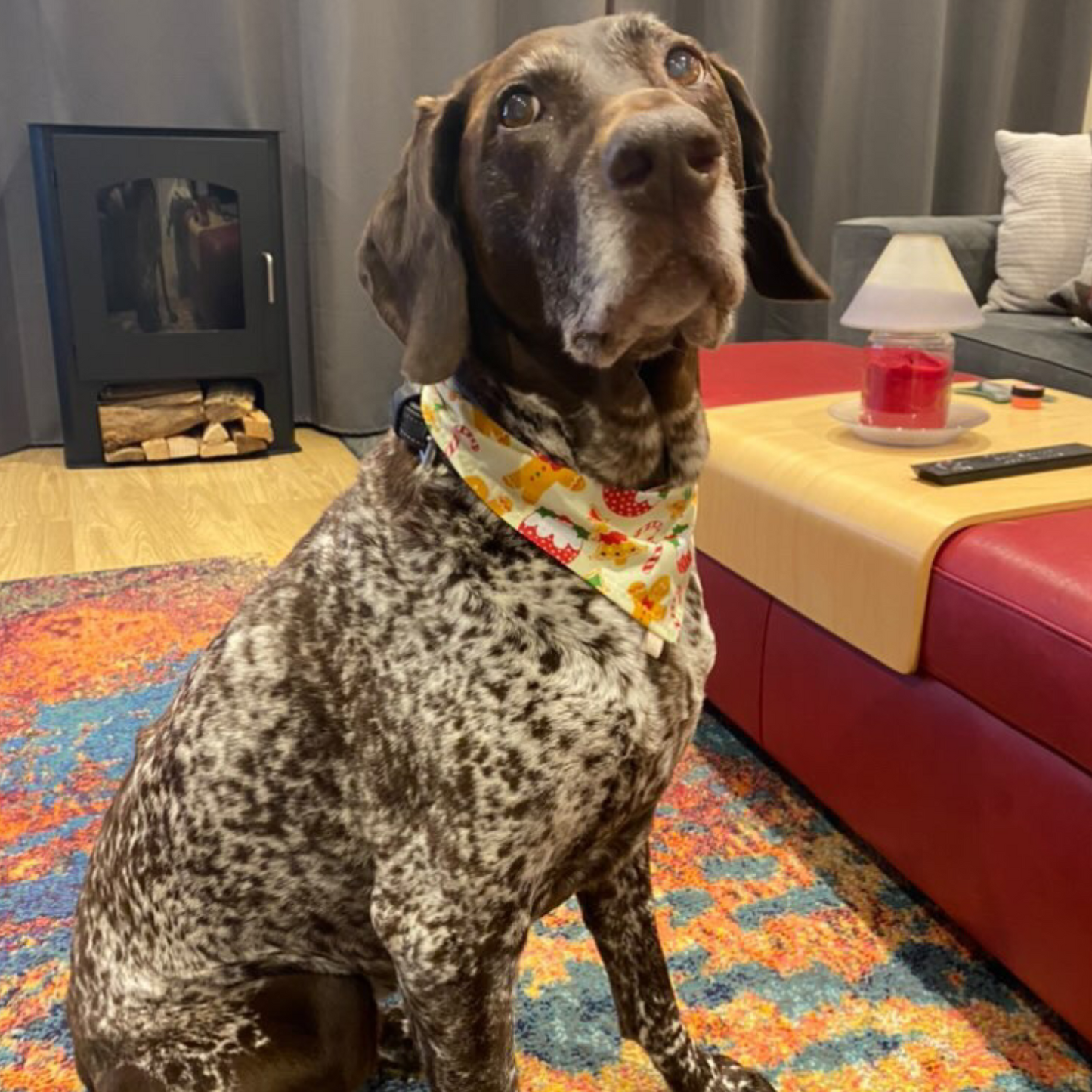 Christmas Cream Gingerbread Print Dog Bandana