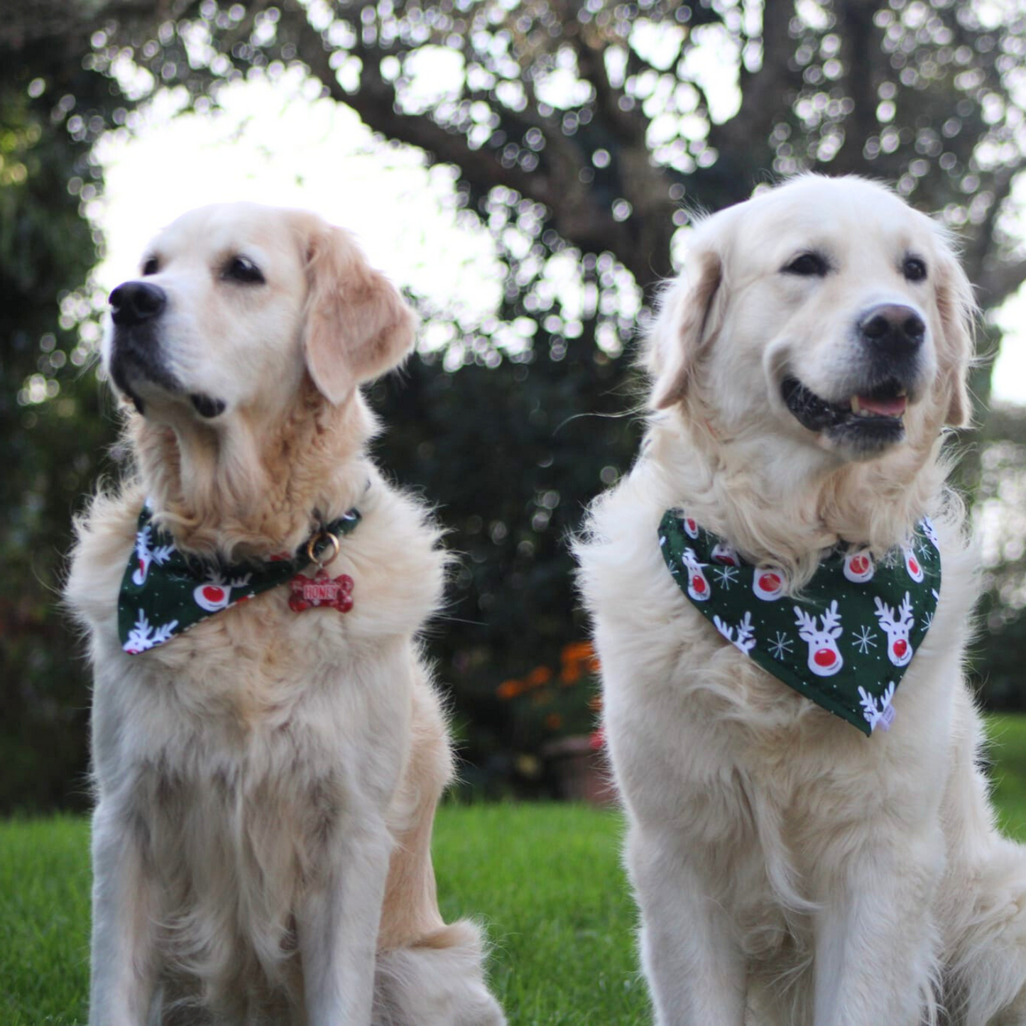 Christmas Rudolph and Snowflake Dog Bandana