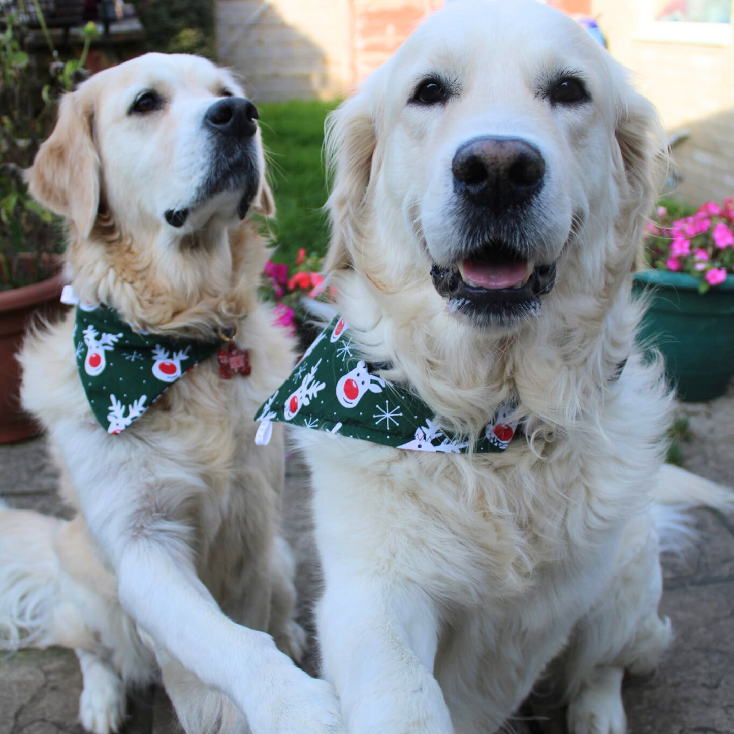 Christmas Rudolph and Snowflake Dog Bandana
