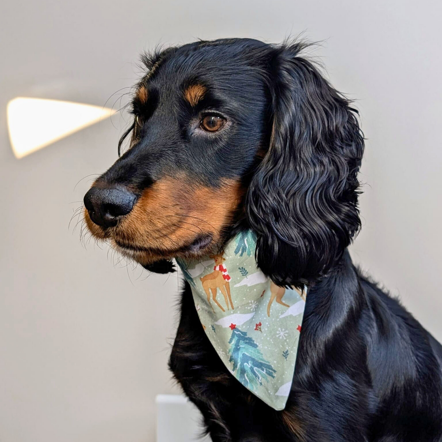 Christmas Sage Reindeer Dog Bandana