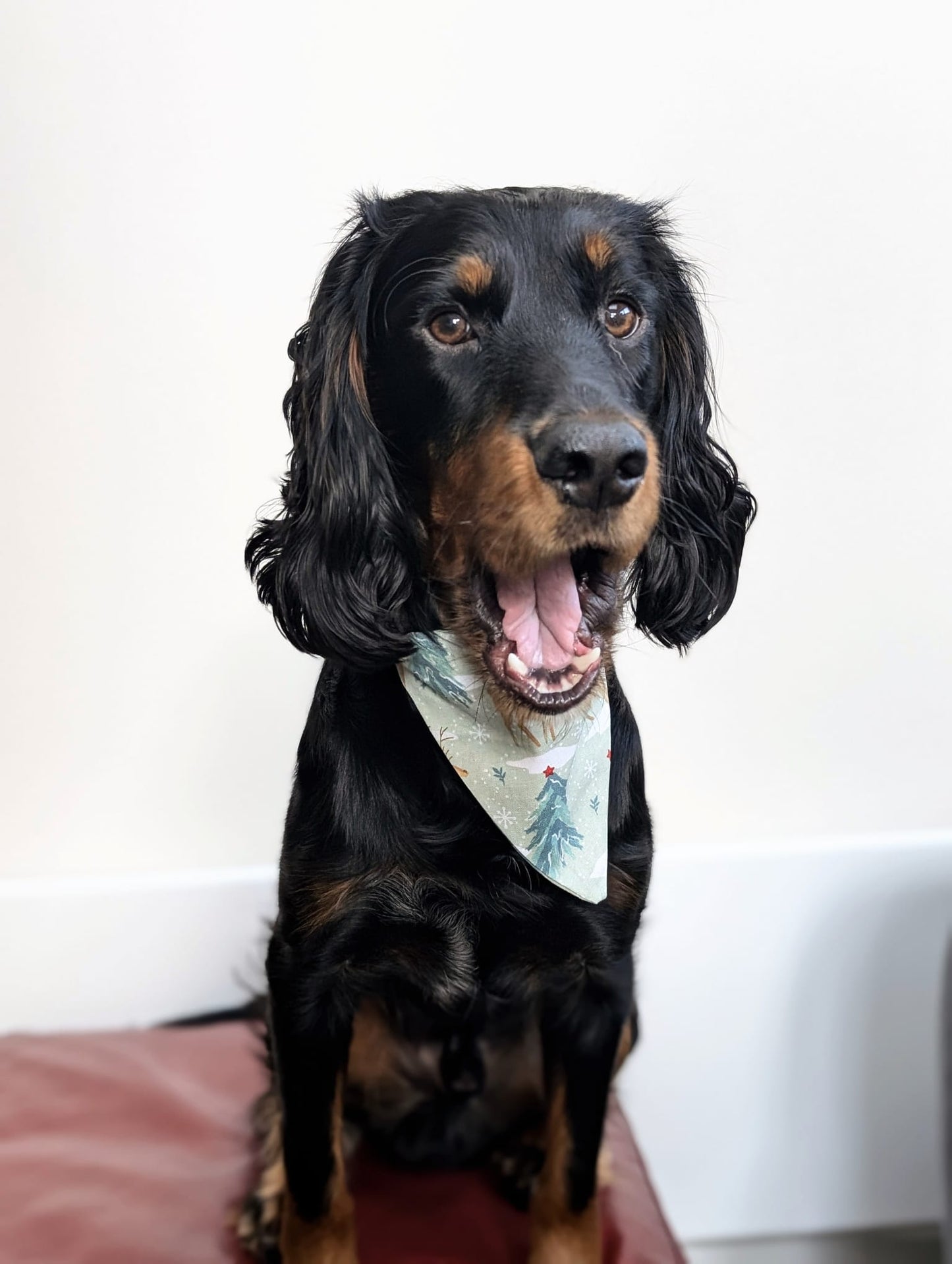 Christmas Sage Reindeer Dog Bandana